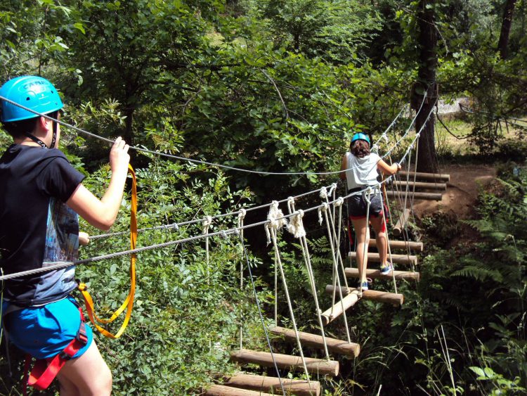 campamento de verano