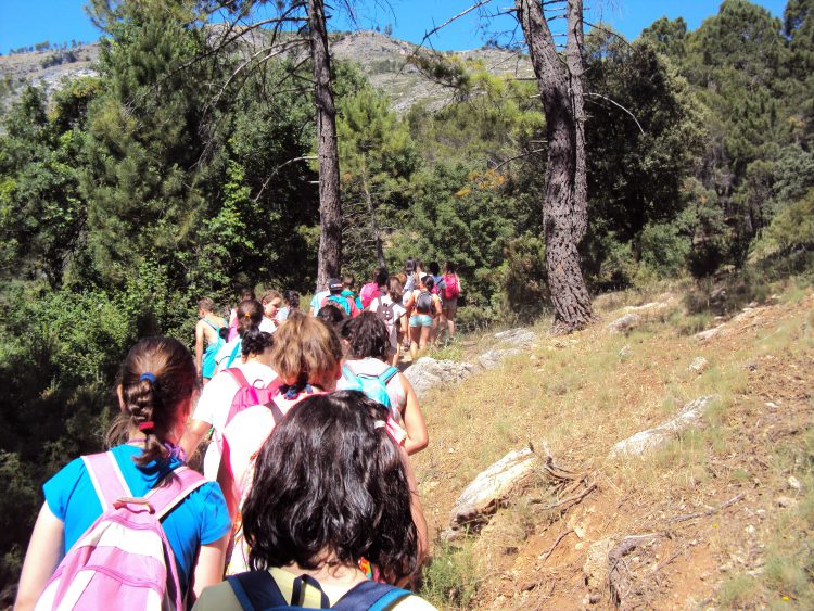 campamento de verano